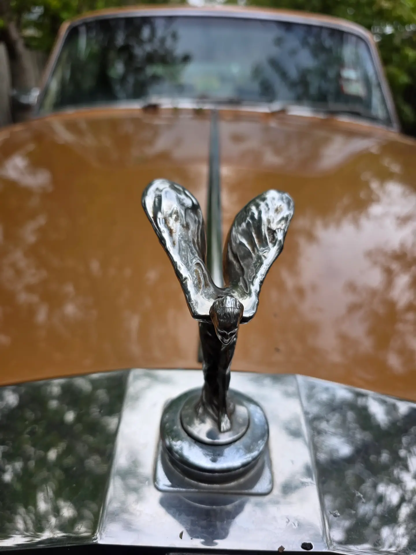 Rolls-Royce Silver